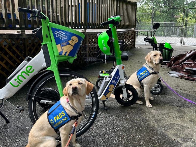 Blog All Posts | Lime Micromobility